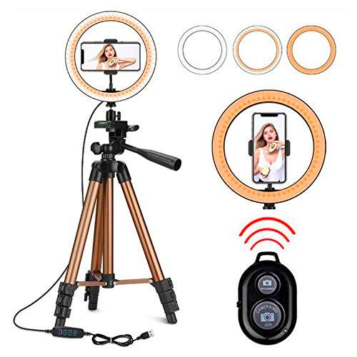 EcoGo 10 Pulgadas Aro de Luz para Movil Ring Light con Tripode Soporte Telefono para Movil/Maquillaje/Fotografia/TIK Tok/Live Streaming/Youtube