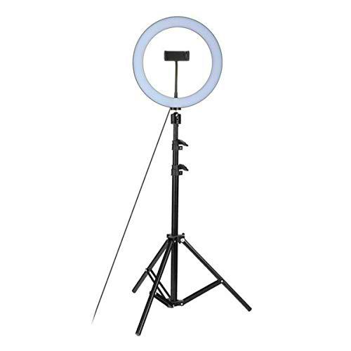 Jinxuny 26 cm Studio Live LED Anillo de luz con Soporte para teléfono Antideslizante 120 cm Plegable trípode Kit Ajustable 360 ​​Rotación para teléfono Selfie Light fotografía de Belleza